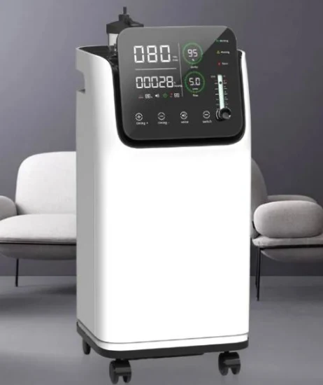 Concentrateur d'oxygène médical Générateur d'oxygène Concentrateur d'oxygène 10 litres Chine